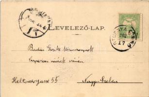 1902 Stubnyafürdő, Túróchévíz, Stubnianske Teplice, Turcianske Teplice; Fürdőház, szökőkút. Kohn Ede...