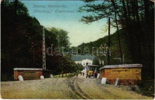 Pozsony, Pressburg, Bratislava; Vaskutacska, Ferdinánd király vasfürdő, korai trolibusz / Eisenbrünnel (Eisenbründl) / Zelezná Studénka / spa with early trolleybus (EK)