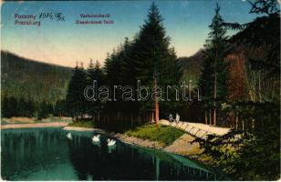 1914 Pozsony, Pressburg, Bratislava; Vaskutacska tó / Eisenbrünnel-Teich / lake (szakadások / tears)