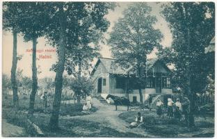 1913 Halmi, Halmeu; Akti hegyi részlet, ház. Merza József kiadása / mountain house