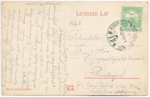 1913 Halmi, Halmeu; Akti hegyi részlet, ház. Merza József kiadása / mountain house