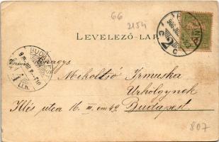 1906 Pozsony, Pressburg, Bratislava; III. Bimbóház / III. Batzenhäusel / restaurant, villa (EK)