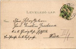 1904 Pozsony, Pressburg, Bratislava; Bimbóház / Batzenhäusl / restaurant, villa (EK)