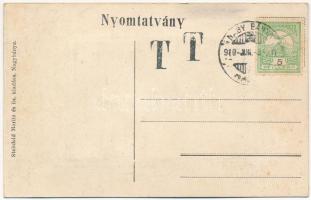 1910 Nagybánya, Baia Mare; Város látképe egy lerombolt épülettel. Leporellolap 10 képpel, Steinfeld ...