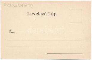 Szászváros, Broos, Orastie; Sétány út. A. Schuller kiadása / Promenadengasse