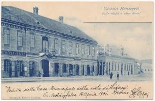 1901 Hátszeg, Hateg; Fő tér és városháza, Kéméndy Albert és Reissfeld Hermann üzlete. Groszeck Károly kiadása / main square, town hall, shops (EK)