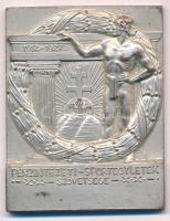 1932. "Pénzintézeti Sportegyesületek Szövetsége 1912-1927 / Kardcsapatbajnokság II. 1932." ezüstözött bronz díjplakett "LUDVIG E. BUDAPEST" gyártói jelzéssel (55x43mm) T:XF