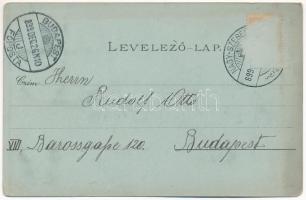 1899 (Vorläufer) Nagyszeben, Hermannstadt, Sibiu; Naturhistorisches Museum, Grosser Ring, Stadtwappe...