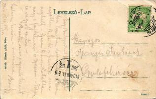 1910 Déva, vár. Hirsch Adolf kiadása / castle (fa)