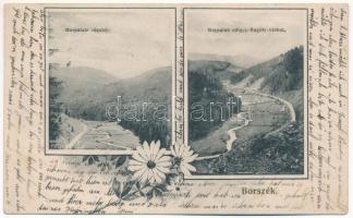 1909 Borszék, Borsec; Borpataki részlet és völgy a Bagoly várból. Soós kiadása / Valea Borcutului. Art Nouveau, floral (Rb)