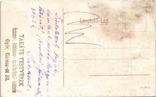 Arad, Vármegyei gazdasági egyesület, Hofherr-Schrantz üzlete. W.L. 214. / County Economic Associatio...