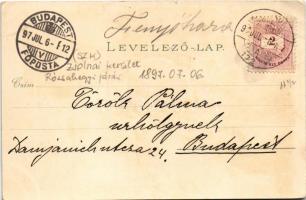 1897 (Vorläufer!) Fenyőháza, Lubochna; Új szálloda, Ilka útról nézve, Csigaútról nézve, Középső rész...