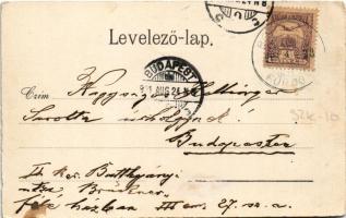 1901 Borosznófürdő, Brusno-kúpele (Borosznó, Brusznó, Brusno); fürdőház, Lajos lak, villa. Kiadja Le...