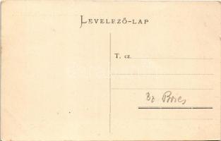 1906 Borosznófürdő, Brusno-kúpele (Borosznó, Brusznó, Brusno); fürdő látképe. Lechnitzky O. fénynyom...