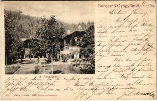 1900 Borosznófürdő, Brusno-kúpele (Borosznó, Brusznó, Brusno); Fürdőház. Lechnitzky O. fénynyomdája 199. sz. / spa, bathhouse (EK)