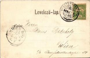 1900 Borosznófürdő, Brusno-kúpele (Borosznó, Brusznó, Brusno); Fürdőház. Lechnitzky O. fénynyomdája ...