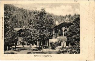 1906 Borosznófürdő, Brusno-kúpele (Borosznó, Brusznó, Brusno); Gyógyfürdő. Ivánszky Elek kiadása / spa, bathhouse (EK)