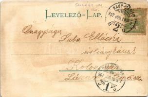 1907 Zilah, zalau; Szikszay park háttérben a kir. törvényszékkel. Seres Samu kiadása / park with cou...