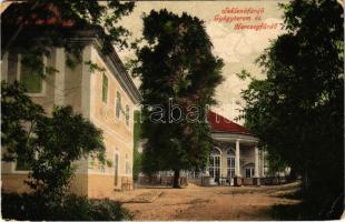 1917 Szklenófürdő, Sklené Teplice; Gyógyterem és Herczegfürdő / spa, baths (EK)