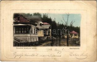 1902 Bártfa, Bártfafürdő, Bardejovské Kúpele, Bardiov, Bardejov; Erzsébet királyné körút. Salgó Mór kiadása / street view, villas (EB)