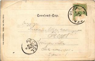 1902 Bártfa, Bártfafürdő, Bardejovské Kúpele, Bardiov, Bardejov; Erzsébet királyné körút. Salgó Mór ...