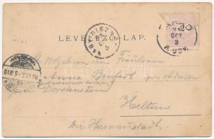 1898 (Vorläufer) Arad, Szabadság tér, piac, 13 vértanú szobor. Bloch H. 13. / market, monument (fl)