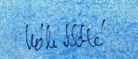 Csák Máté (1938-2017): Hajó (Odüsszeia). Akvarell, papír, jelzett. fa keretben, 21x59 cm