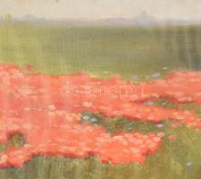 Mártonffy K. jelzéssel: Pipacsmező, Akvarell, papír, jelzett, sérült üvegezett keretben 40x50 cm