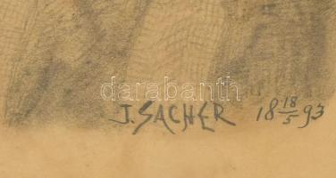 Sacher jelzéssel, XIX. sz. második fele: 5 db grafika (portrék, tanulmányok). Ceruza, papír, vegyes ...