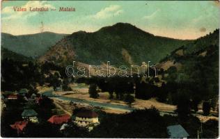 1921 Valea Lotrului, Malaia (fl)