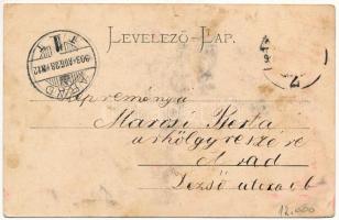 1903 Temesvár, Timisoara; Jenő herceg utca, Heinrich Uhrmann üzlete, Dr. Anton Schwenk fogorvos. Mag...