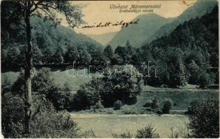 1912 Erdészvölgy, Kuzij (Lonka, Luh); Üdvözlet Máramarosból. Wizner és Dávid kiadása / Greetings from Maramures