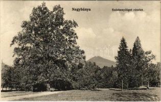 1917 Nagybánya, Baia Mare; Széchenyi liget részlete. Kovács Gyula kiadása / park