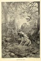 cca 1900 Zichy Mihály festőművész rajzai után készült 9 db fekete-fehér nyomat. (In: Arany János bal...