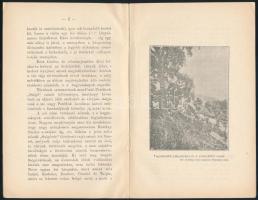 Kékkői Szomor Károly: Salgó-vár rövid története valamint a Somoskői vár s ennek közelében levő bazal...