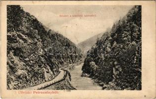 1909 Petrozsény, Petrosani; részlet a szurduki szorosból. Herz Henrik kiadása / Surduc gorge (EK)
