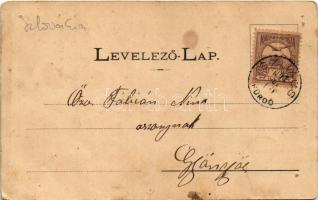 1901 Szliács, Sliac; Fürdőház, Üdvözlet nyaraló, Társalgó terem, József forrás. Kerekes Miklós kiadá...