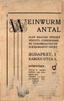Temesvár, Timisoara; Gyárváros, Városi Vágóhíd. Weinwurm Antal reklámja ragasztva a hátoldalra / Fab...