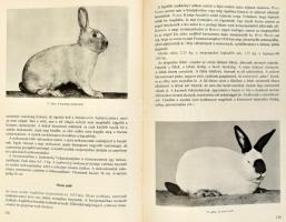 Holdas Sándor - Csikváry László - Szikora András: A nyúltenyésztés kézkönyve. Bp., 1978, Mezőgazdasá...