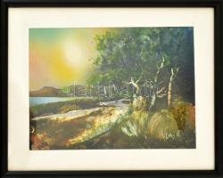 Mezős Béla (1949- ): Parton Akril, karton. Jelzett, üvegezett keretben a hátoldalon a művész bélyegz...