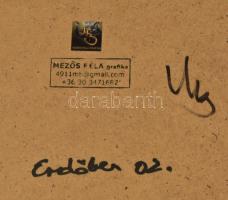 Mezős Béla (1949- ): Erdőben 1. Akril, karton. Jelzett, üvegezett keretben a hátoldalon a művész bél...