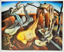 Mayer Marianna: Dalí. Debrecen, é.n., TKK. Gazdag képanyaggal illusztrálva. Magyar, angol és német n...