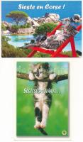 12 db MODERN macskás motívum képeslap / 12 modern cats motive postcards