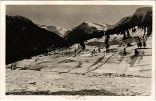 Borsafüred, Borsa; kilátás az Olimpia lesikló versenypálya utolsó szakaszára, háttérben a Galac csúcsa (Radnai havasok). Déván István felvétele / ski slope