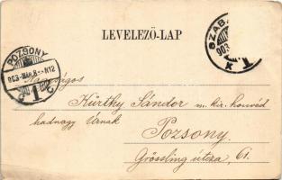 1903 Szabadka, Subotica; Kossuth utca, Szálloda Pest városához. Vig Zsigmond Sándor kiadása (Rb)