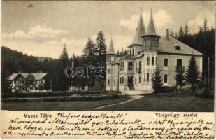 1911 Tátra, Tatry; Virágvölgy, Szentgyörgyi nyaraló / Blumental / Kvetnica, villa (EK)