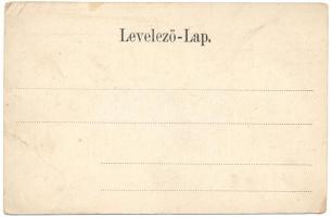 Hídvég, Haghig; Nemes kastély és kápolna. Verl. J. E. von Steegmüller Photograf / castle and chapel ...