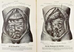 Spalteholz, Werner: Handatlas der Anatomie des Menschen. Dritter Band. Die Eingeweide, das Gehirn, d...