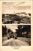 1927 Lakompak, Lackenbach; Sägewerk, Eszterházy Schloss Eingang / fűrésztelep, kastély bejárata / sawmill, castle entry gate