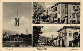 Nagyszőlős with Hungarian Flag and Royal Hotel (EB)